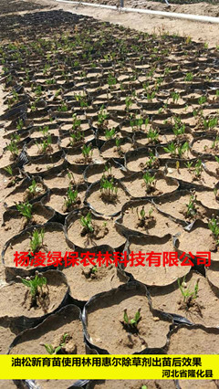 ����������ʹ�����ûݠ����݄������Ч��